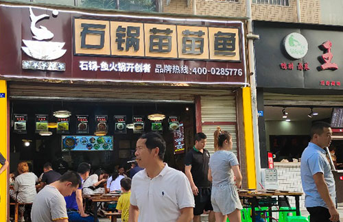 重庆石锅苗苗鱼案例图片4